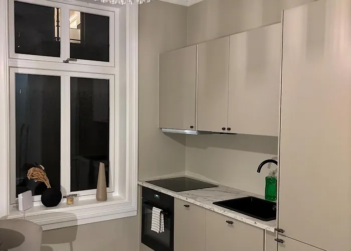 Newly Renovated Classic By Solli Plass Oslo